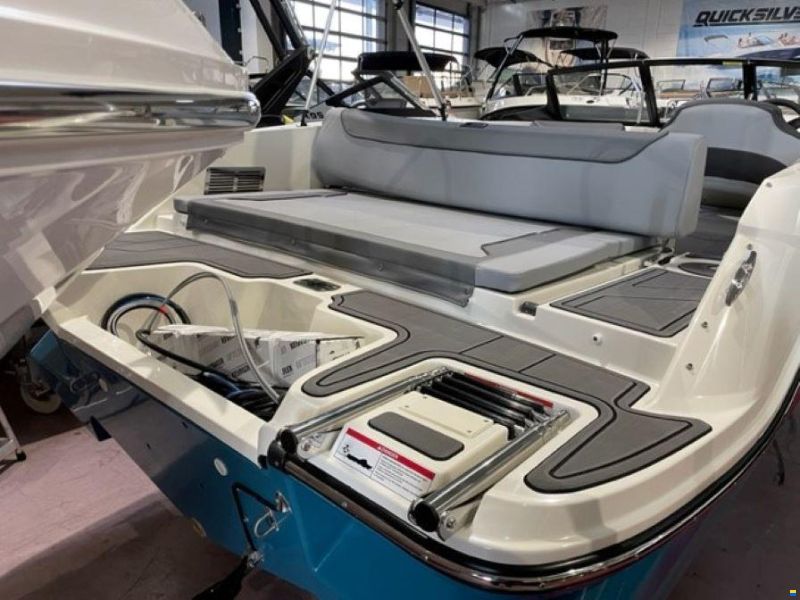 Bayliner M19