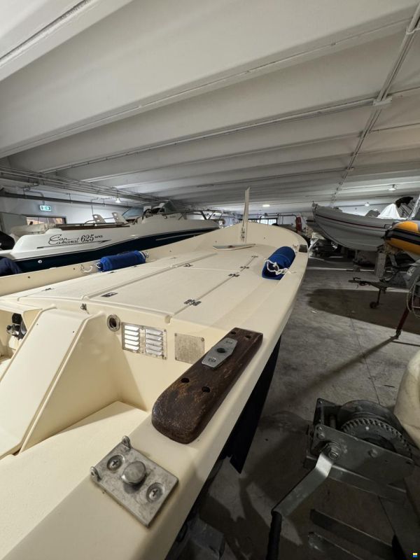 Calcagno Marlin 2051