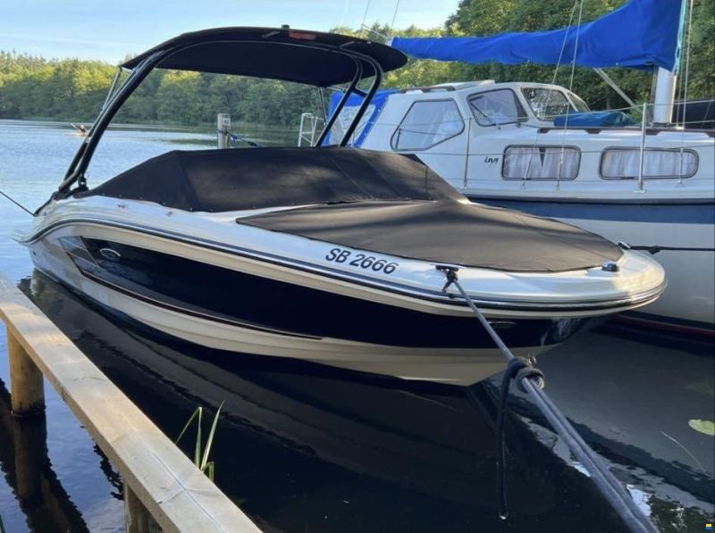 Sea Ray 19 SPX Mercruiser 4.3 l mpi