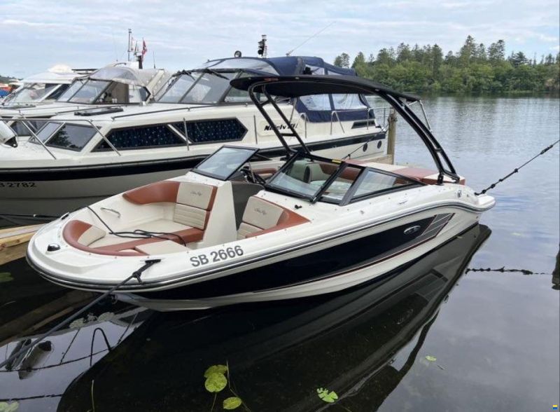 Sea Ray 19 SPX Mercruiser 4.3 l mpi