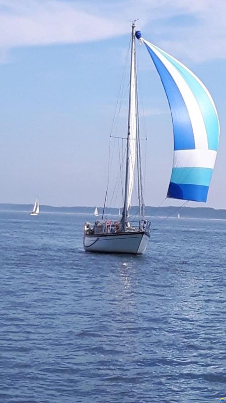 Baltika 10,40 m Decksalon Segelyacht