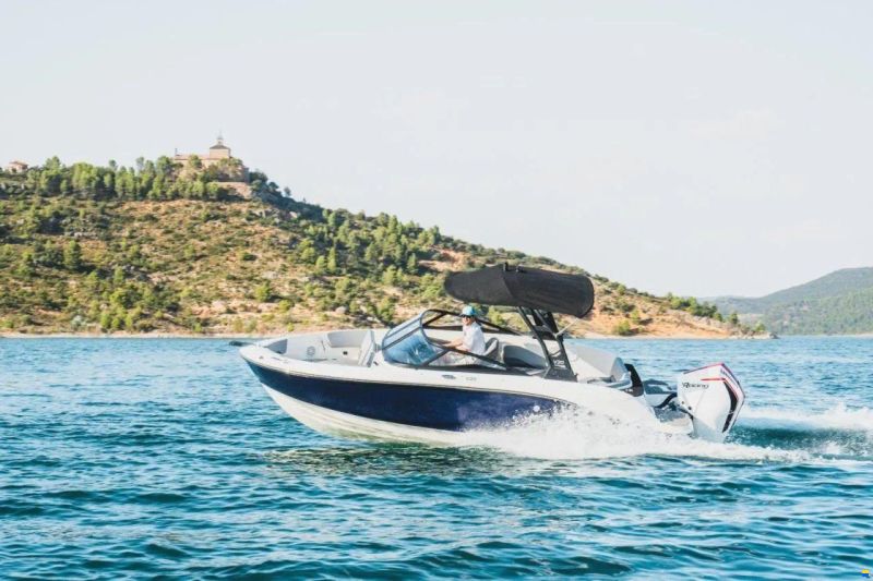 Bayliner V20