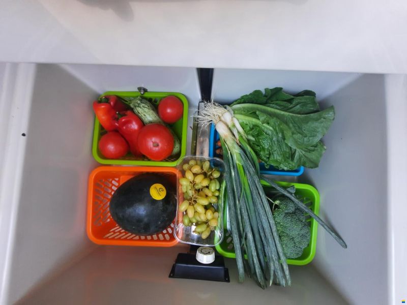 Prout Snow goose 37 Elite