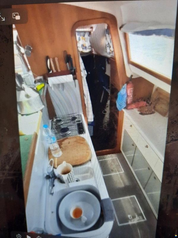 Prout Snow goose 37 Elite