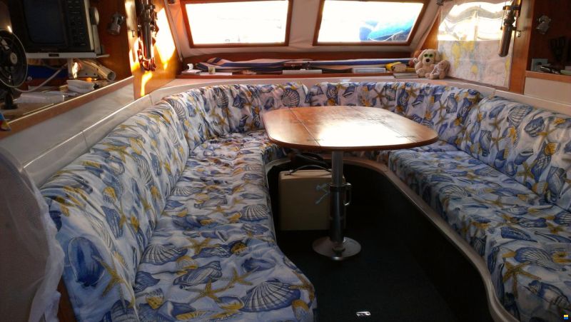 Prout Snow goose 37 Elite