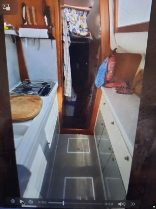 Prout Snow goose 37 Elite