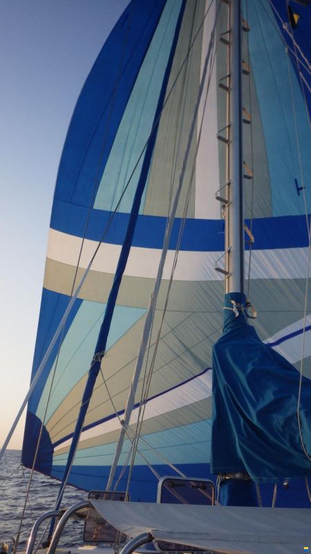 Prout Snow goose 37 Elite