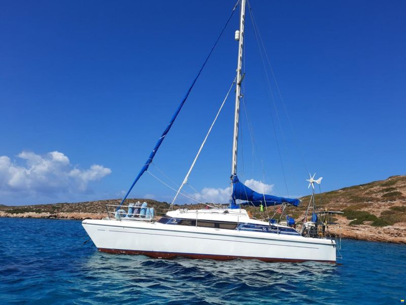 Prout Snow goose 37 Elite