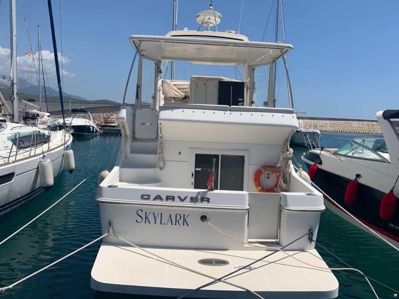 Carver 41