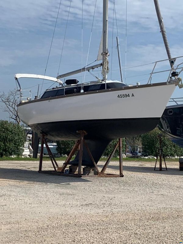 Dufour 29