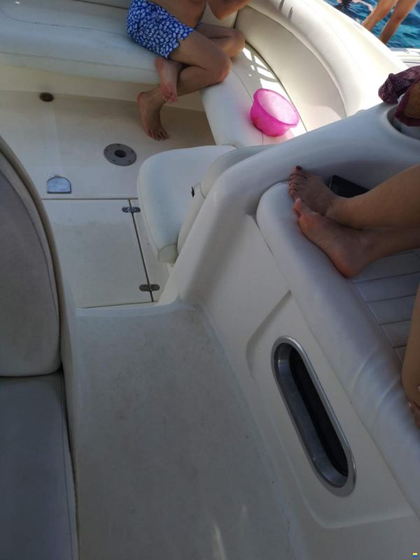 Laver Salpa 31.5