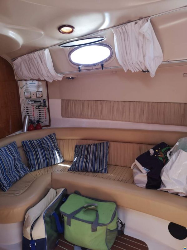 Laver Salpa 31.5