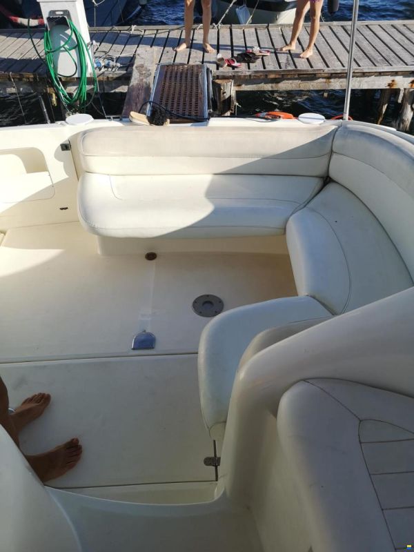 Laver Salpa 31.5