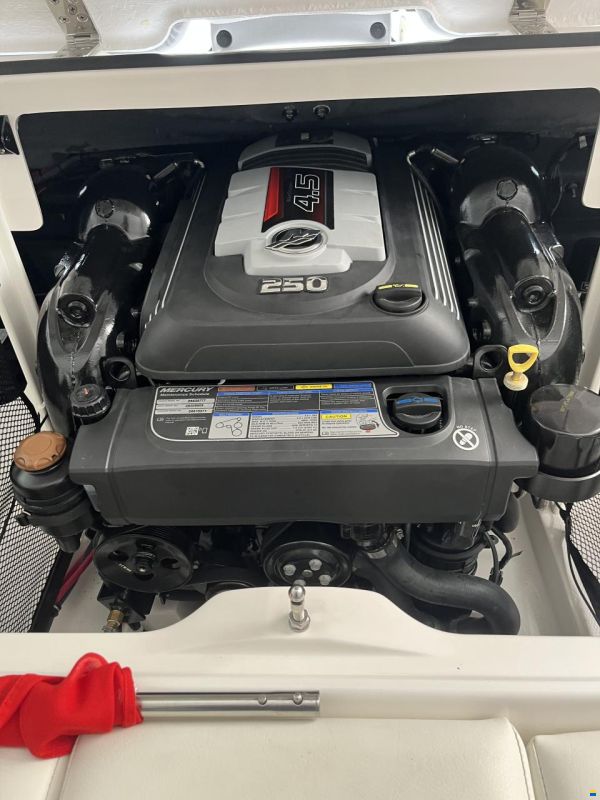 Campion Chase 550 I Bowrider