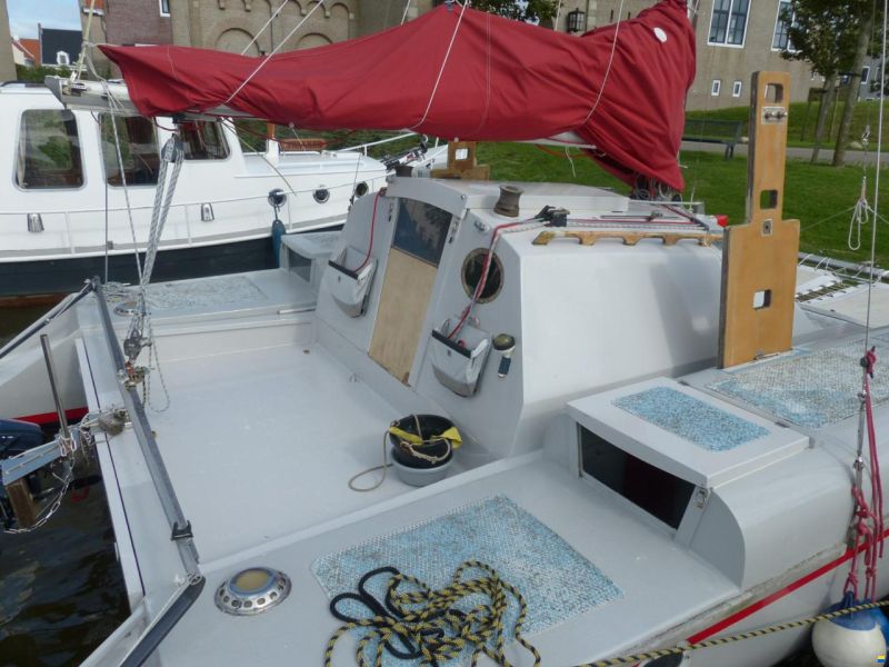 Woods Wizard Catamaran