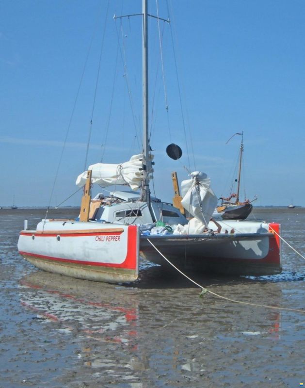 Woods Wizard Catamaran