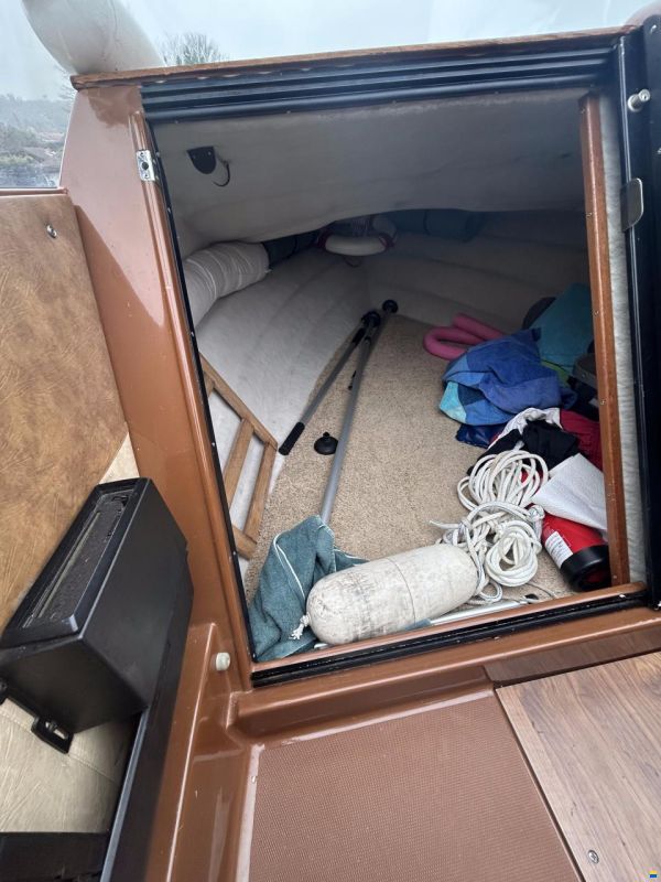 Draco 1800 Daycruiser