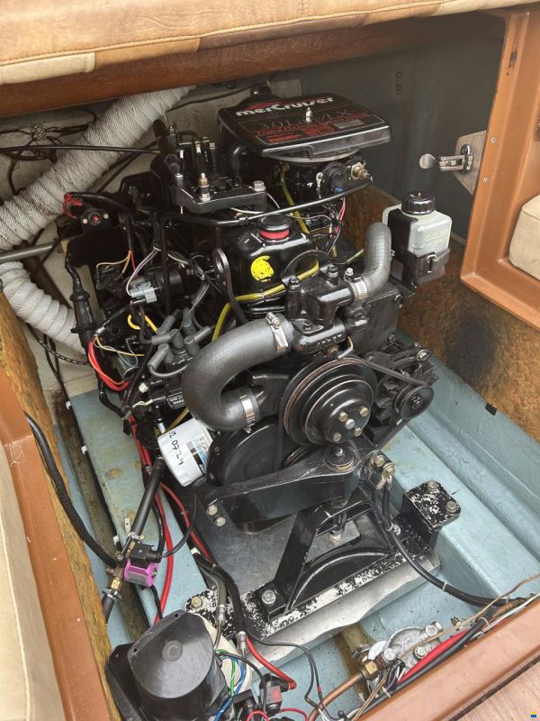 Draco 1800 Daycruiser