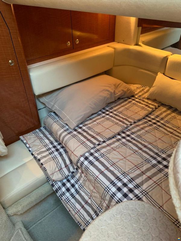 Sea Ray 355
