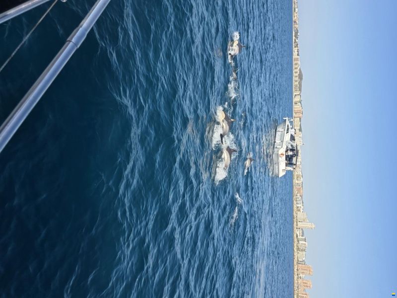 Cranchi 41 Endurance