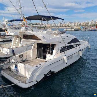 Astondoa 39