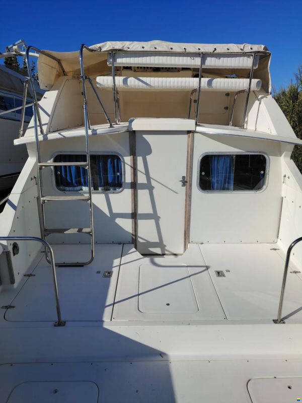 Bertram Yacht 28