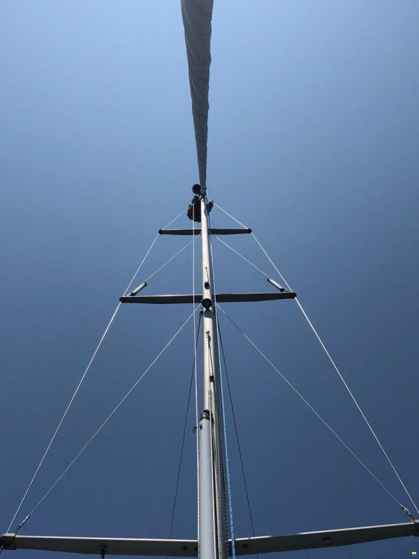 Wauquiez Centurion 49