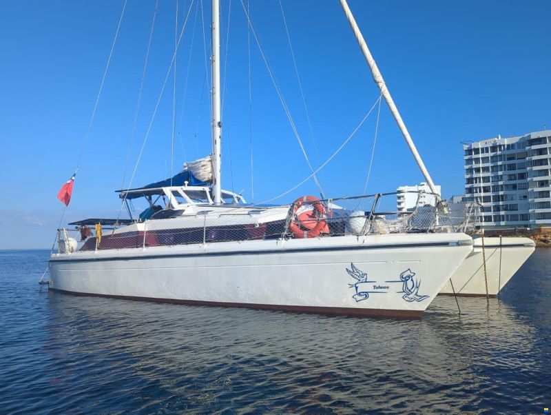 Prout Proute Snowgoose Elite 37