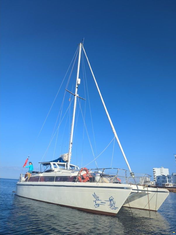 Prout Proute Snowgoose Elite 37