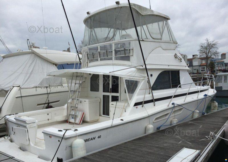 CARIBBEAN 40