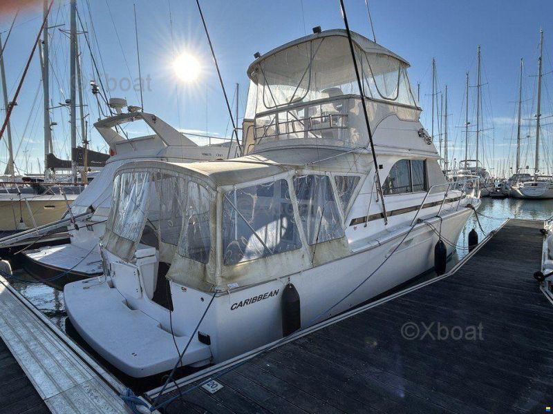 CARIBBEAN 40