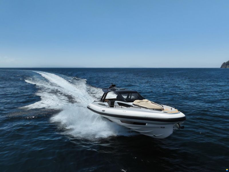 Salpa 52
