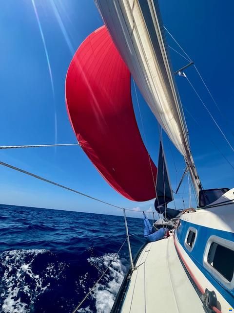 X-Yachts X-332