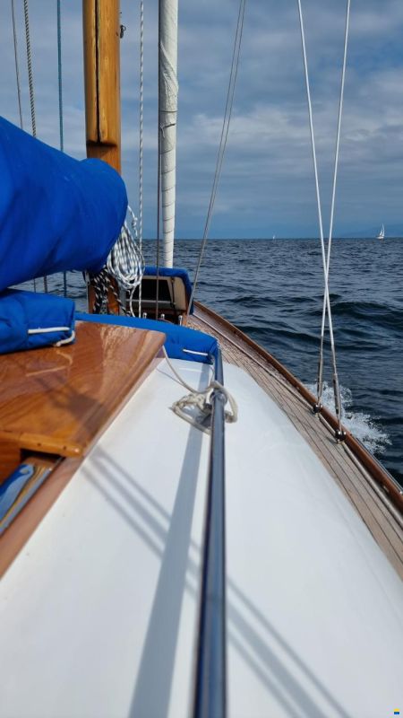 WalbootFürst Romanshorn CH