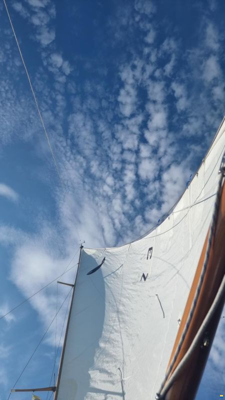 WalbootFürst Romanshorn CH