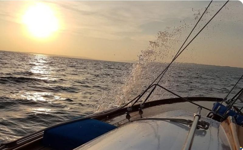 WalbootFürst Romanshorn CH