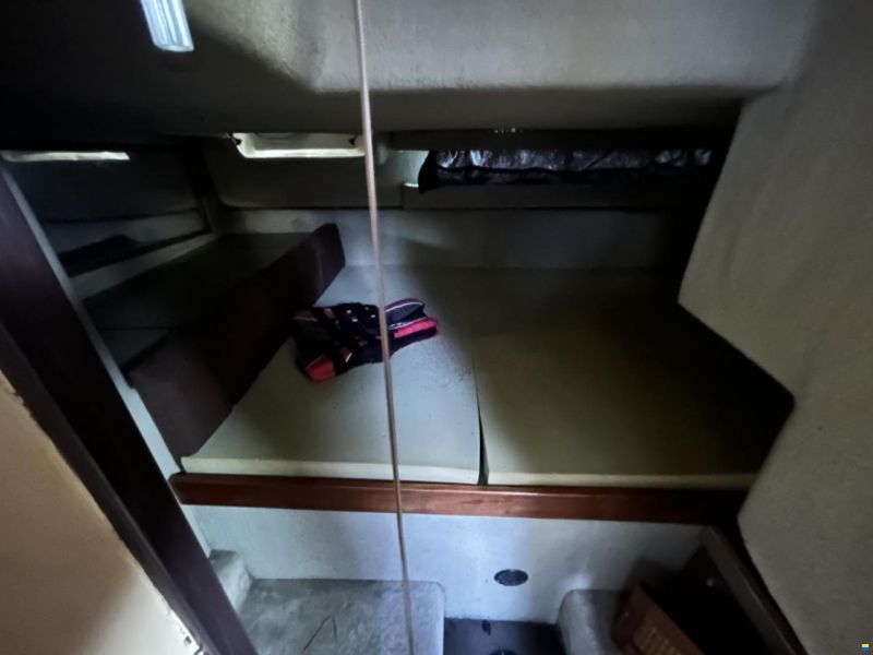 Bayliner 3250 Conquest