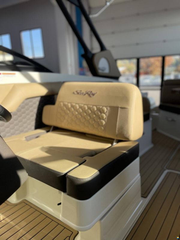 Sea Ray SDX 270