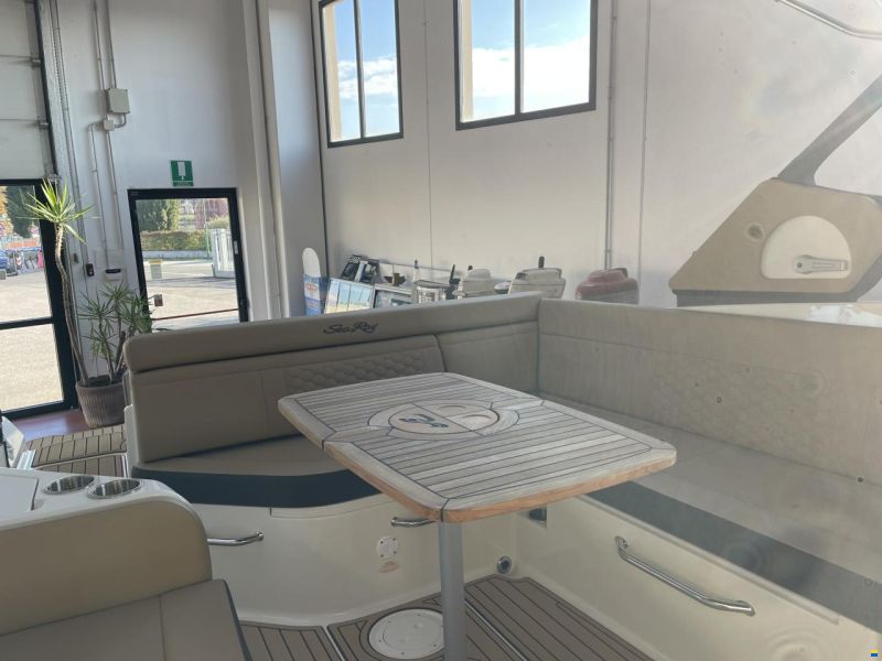 Sea Ray SDX 270