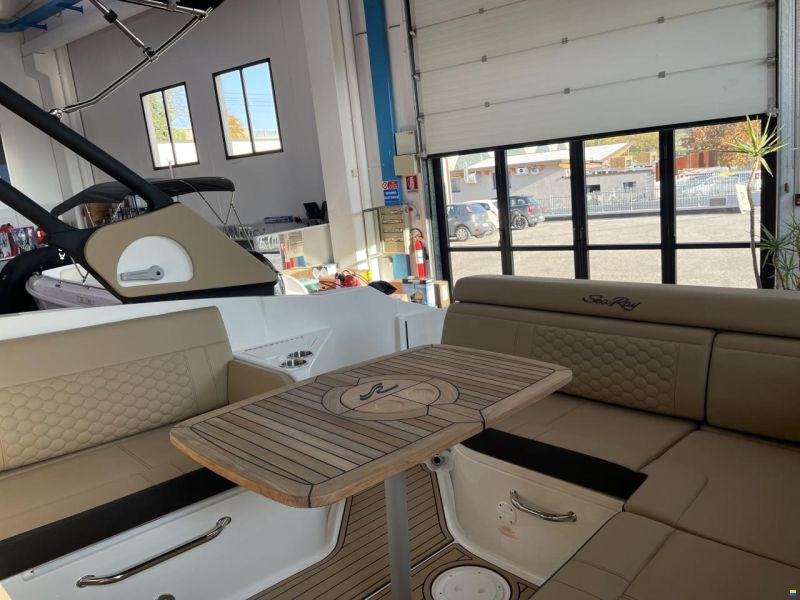 Sea Ray SDX 270