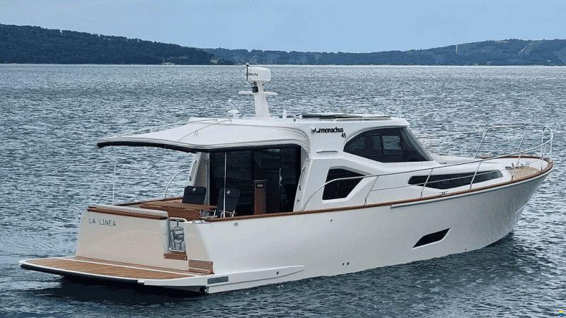 Monachus ISSA 45