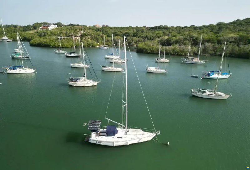 Hunter 40