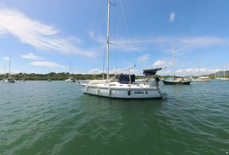 Hunter 40