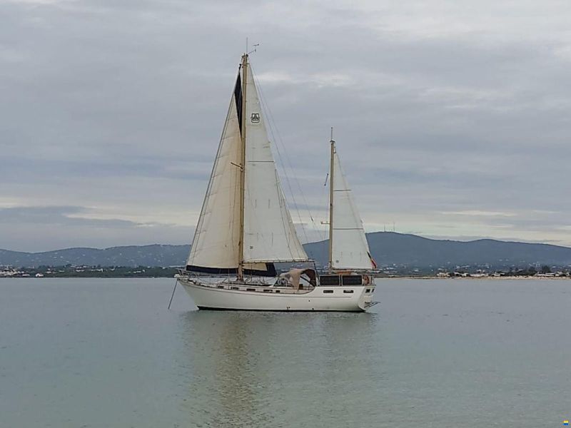Anne Wever TRINTELLA 3A