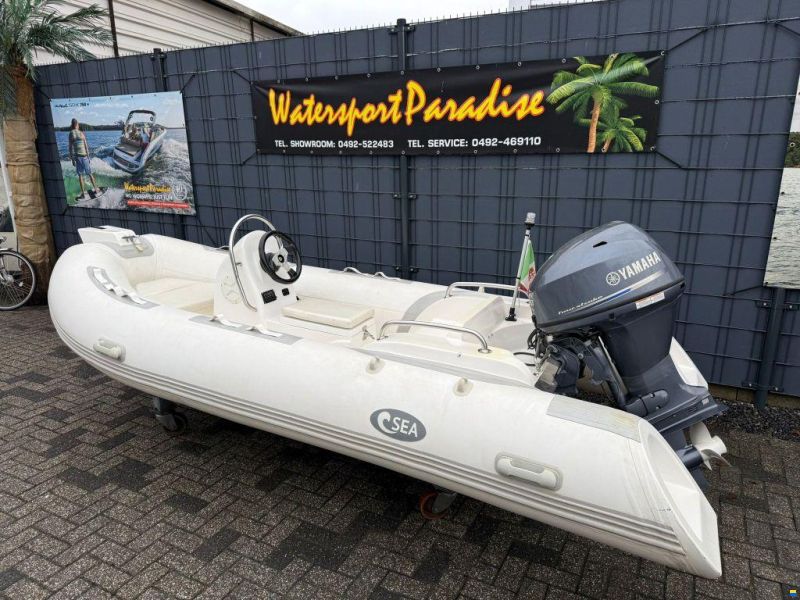 Rib 390