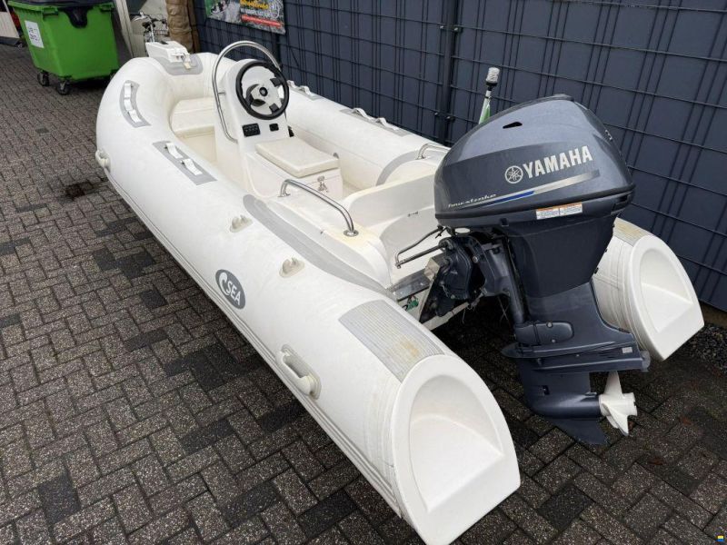Rib 390