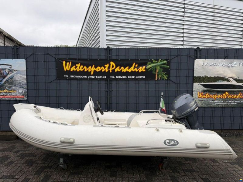 Rib 390