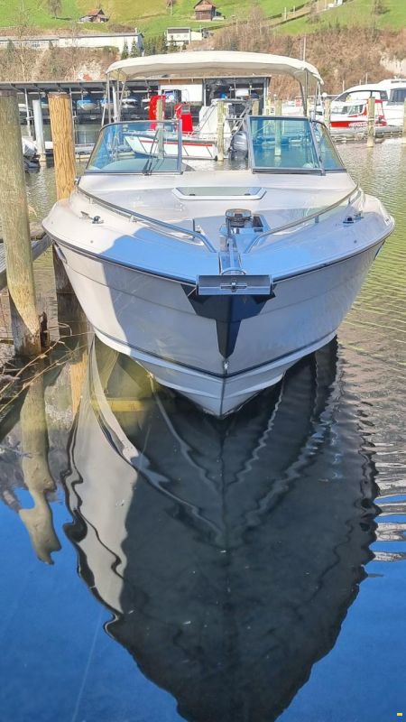 Regal Ventura 8.3 SC Cuddy