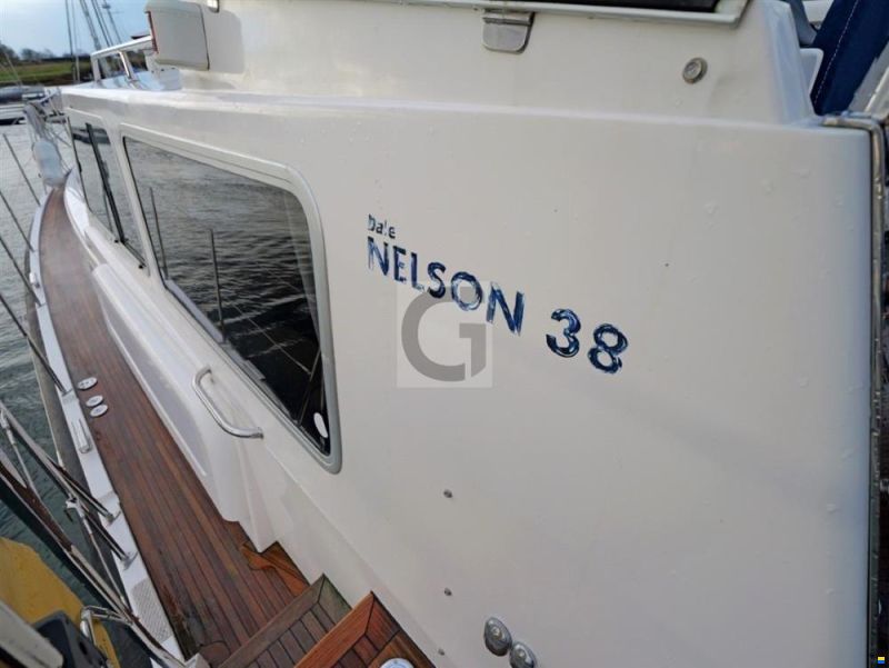 Dale Nelson 38 AC