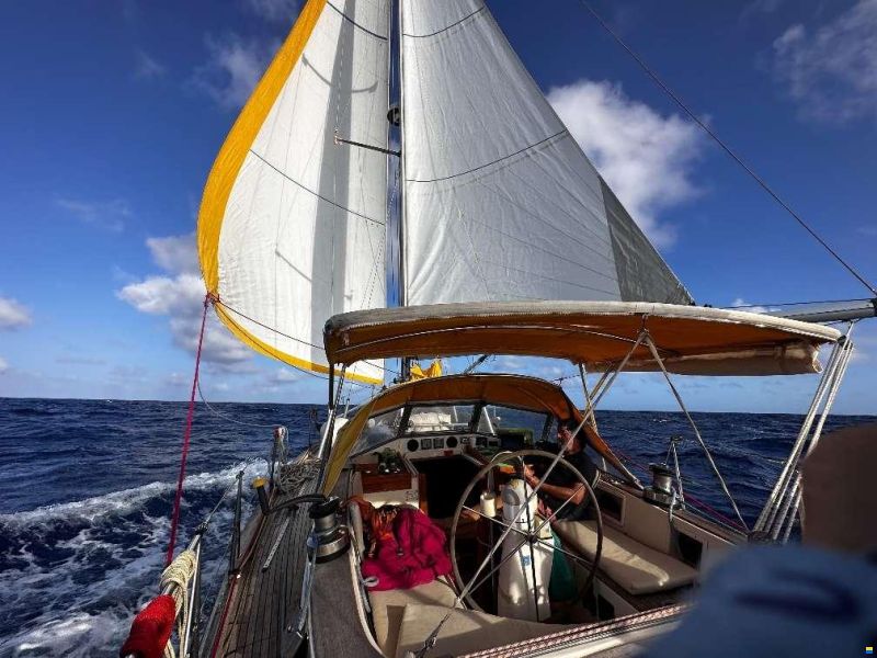 Hallberg-Rassy 382